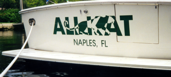 Early vinyl (designed by Carla Christopher)