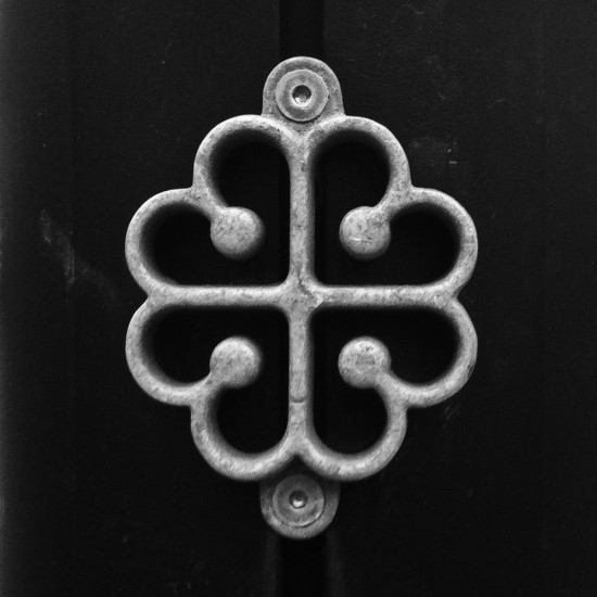 Image by Amery Calvelli