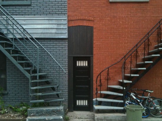 Image by Amery Calvelli