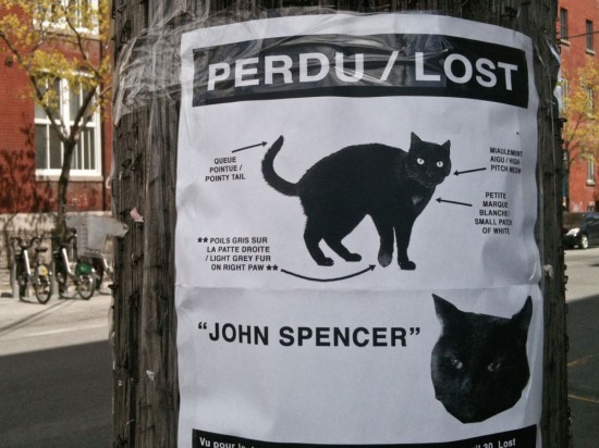 Image by Amery Calvelli