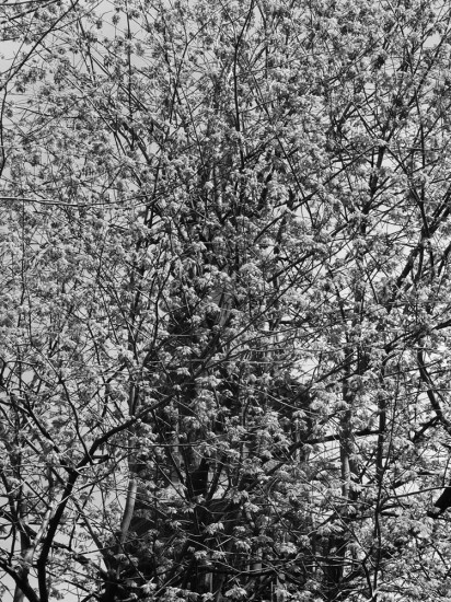 Image by Melle Hammer