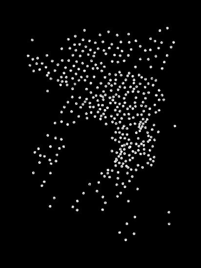 BIXI Constellation, Jennifer Nichols