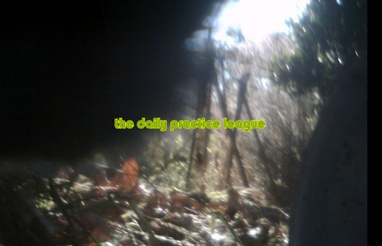 The Daily Practice League